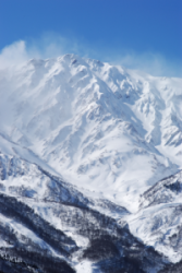 �k�A���v�X�E���n�x�̑��k�B